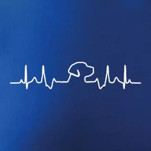 Labradorský retriever EKG Labradorský retriever EKG