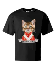 Napoleon domáci mačka