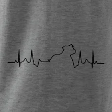 Stafordšírsky bulteriér ‎ EKG