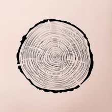 Letokruhy 35 bez veku