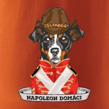 Napoleon domáci kríženec
