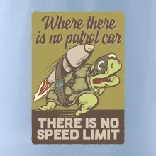 Korytnačka na cestách