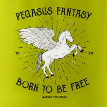 Pegasus fantasy Pegasus fantasy