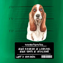 Baset - lump a darebák   Baset - lump a darebák