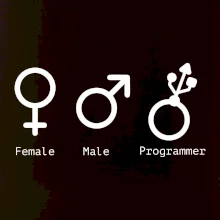 Female male programmer