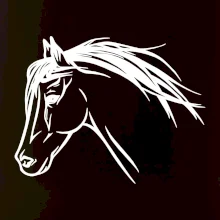Kôň - hlava celá