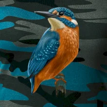 Ľadnáčik kreslený