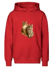 Mačky vectorizované (Moňas)