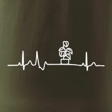 EKG Filodendron EKG Filodendron