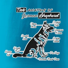 Nemecký ovčiak - Anatómia