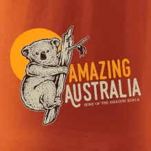 Amazing Australia koala