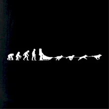 Evolúcia psie záprahy