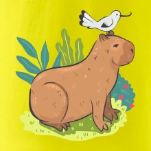 Kapybara a vtáčik