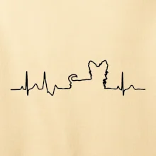 Yorkshirský teriér EKG