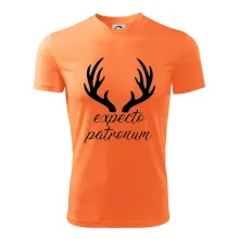 Harry - Expecto patronum Harry - Expecto patronum