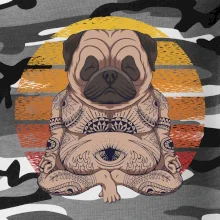 Yoga meditace - pug