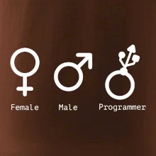 Female male programmer