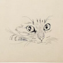 Mačka tvár kresba