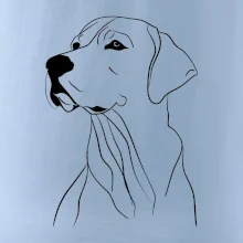 Labrador čierna kresba