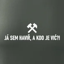 JÁ SEM HAVIŘ, A KDO JE VIĆ?!﻿
