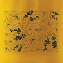 Listy viniča tapeta