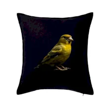 Zvonček zelený čierna fotka