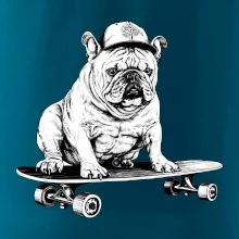 Čiernobiely buldog na skateboarde