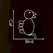 Cat bird diagram