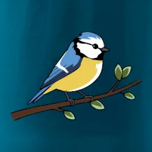 Sýkorka modrinka na vetve