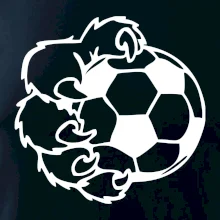 Medvedia laba futbal