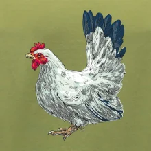 Sliepka kreslená biela