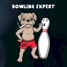 Bowling expert (Hana-creative) Bowling expert (Hana-creative)