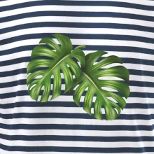 Monstera - dva listy Monstera - dva listy