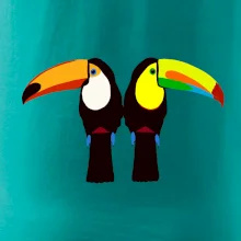 Dva barevní tukani (Moňas)