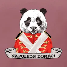 Napoleon domáci panda
