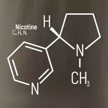 Molekulárna štruktúra Nikotín