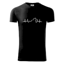 Stafordšírsky bulteriér ‎ EKG