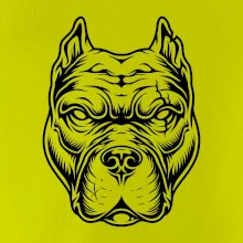 Americký stafordšírsky teriér hlava