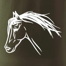 Kôň - hlava celá
