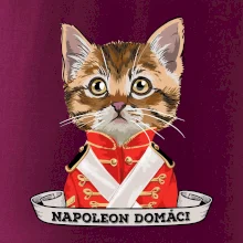 Napoleon domáci mačka Napoleon domáci mačka
