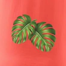 Monstera - dva listy