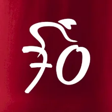 Cyklista oslavuje sedemdesiatku (70)