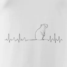 EKG krivka kapybara EKG krivka kapybara