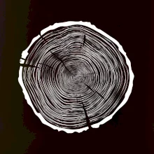 Letokruhy 85 bez veku