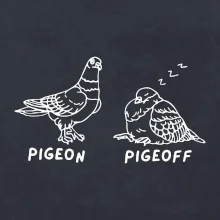 Pigeon pigeoff