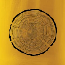 Letokruhy 100 bez veku Letokruhy 100 bez veku