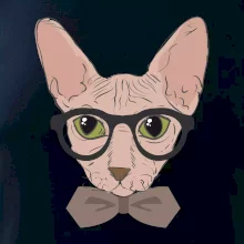 Hipster sphynx
