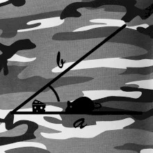 Matematická myš Matematická myš