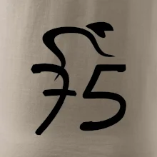 Cyklista oslavuje sedemdesiatpäťpäťky (75)