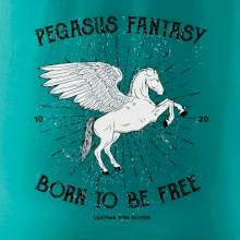 Pegasus fantasy